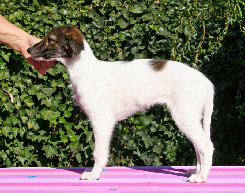 Surf Spots - Girl 1 Left